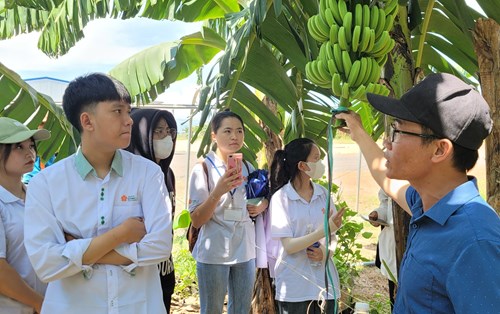 Sinh Viên Ngành Nông Nghiệp và Công Nghệ Thực Phẩm Thực Hành Tại KD Green Farm